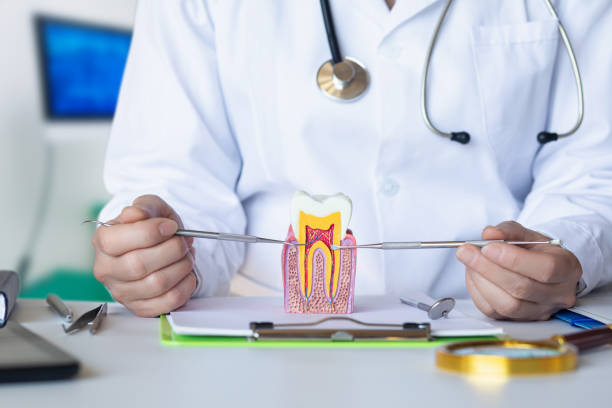 Best Dental Abscess Treatment in Portland, ME